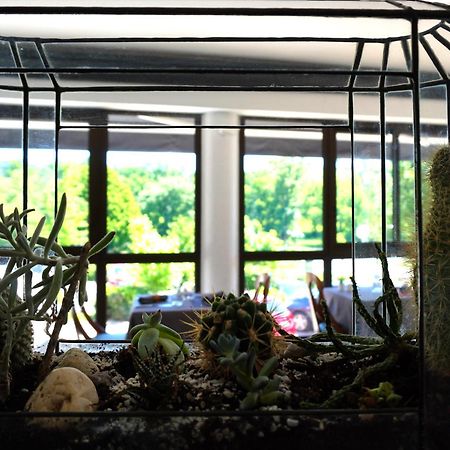 Aubergade Hotel Barbotan-les-Thermes Ngoại thất bức ảnh